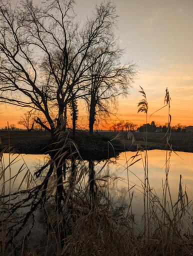 As the sun sets, the dark branches of the bare trees stretch across the sky, casting long, intricate shadows on the water below. The still surface of the water mirrors the trees’ bare form, bending the reflection as if the image itself is being reshaped by the gentle touch of light. The colors of the fading day—golden, orange, and amber—glow softly in the glassy ripples. Much like our own lives, we sometimes find ourselves seen in different ways depending on the light around us, the moment of reflection, and the angle we choose to look from. We may look stark and exposed from one view, but in the right light, we reveal an image of beauty, complexity, and connection.