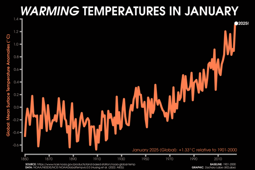 A line graph shows the time series of global mean surface temperature anomalies for each January from 1850 through 2025. There is a long-term increasing trend and large year-to-year variability. The mean surface temperature anomaly in January 2025 was 1.33°C globally. Anomalies are computed relative to a 1901-2000 climate baseline. A map of temperature anomalies in January 2025 is also shown. Red shading is for warmer than average temperatures, and blue shading is shown for colder than average temperatures. The climatological baseline on the map is relative to 1971 to 2000. All data is from NOAA/NESDIS/NCEI NOAAGlobalTemp v6.0.0 on this graphic.